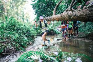 BIB: 
                            <button type="button" onclick="openModal(25464246)" class="btn btn-primary btn-sm float-right btn-popup" data-toggle="modal" data-target=".modal-high-quality">
                        <i class="fas fa-shopping-cart"></i> Add to Cart
                    </button>
                                            <button type="button" onclick="isThisMe(25464246, true)" class="btn btn-success btn-sm float-right btn-popup btn-isme hidden" data-toggle="tooltip" data-placement="bottom" title="นี่คือรูปของคุณใช่ไหม คลิกที่นี่เพื่อเอาเข้าอัลบั้ม">
                        <i class="fas fa-plus"></i> Add to album
                    </button>
                    <button type="button" onclick="isThisMe(25464246, false)" class="btn btn-warning btn-sm float-right btn-popup btn-isnotme hidden">
                        <i class="fas fa-ban"></i> Remove from album
                    </button>